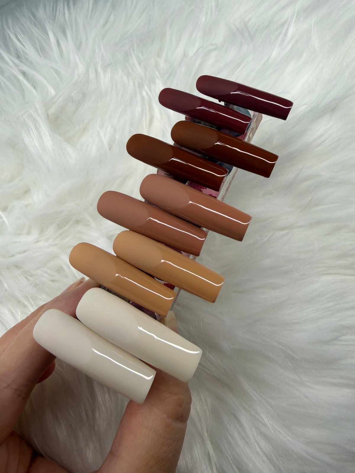 Glossed Frenchie
